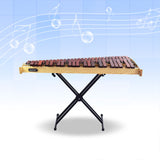 DFTF Xylophone